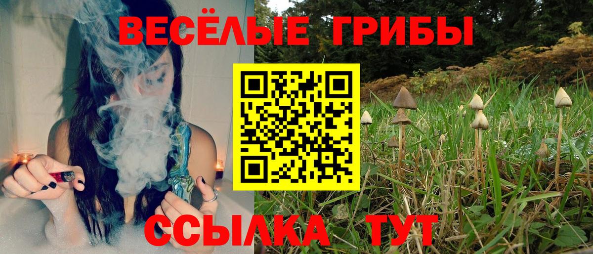 Галлюциногенные грибы прущие грибы Уссурийск